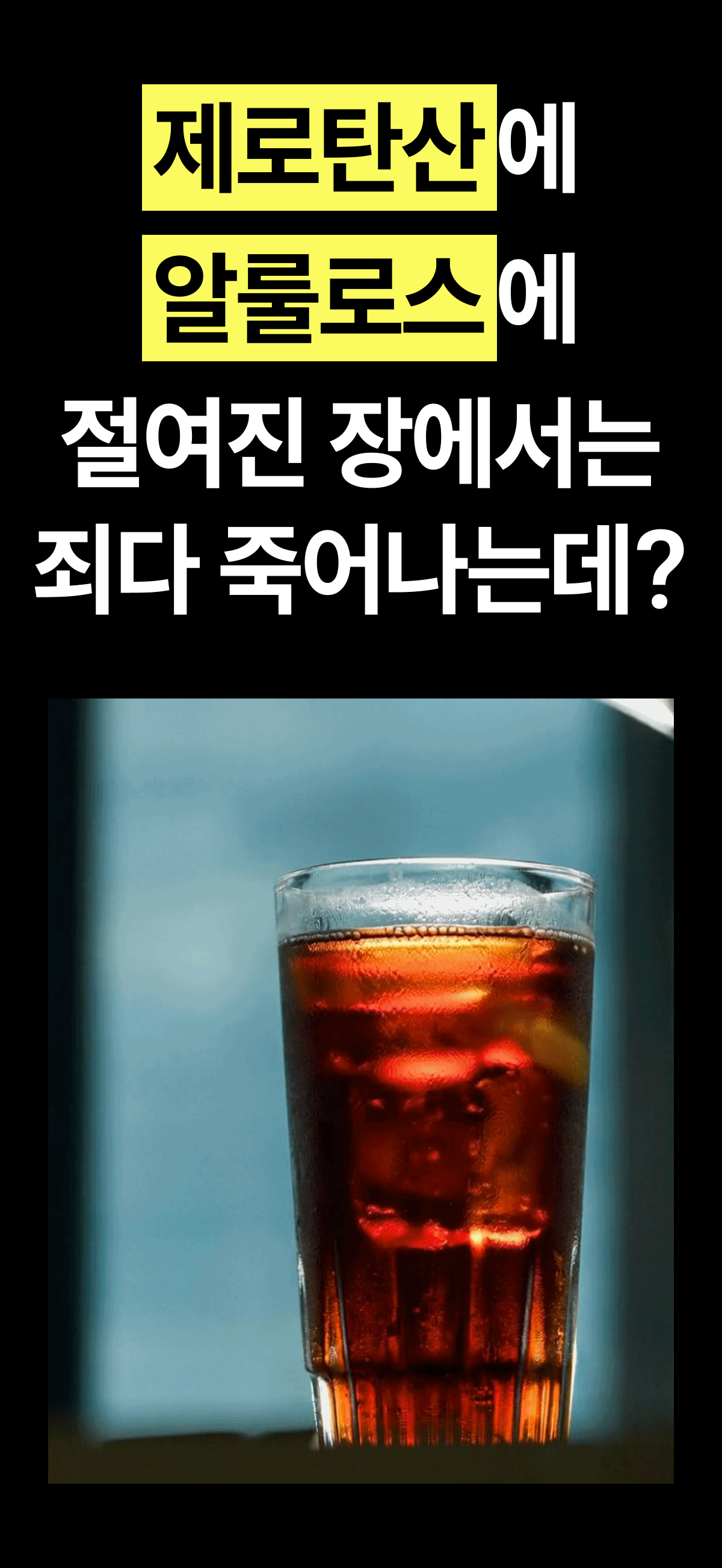 헬시핏크러셔 [Healthyfit Crusher]