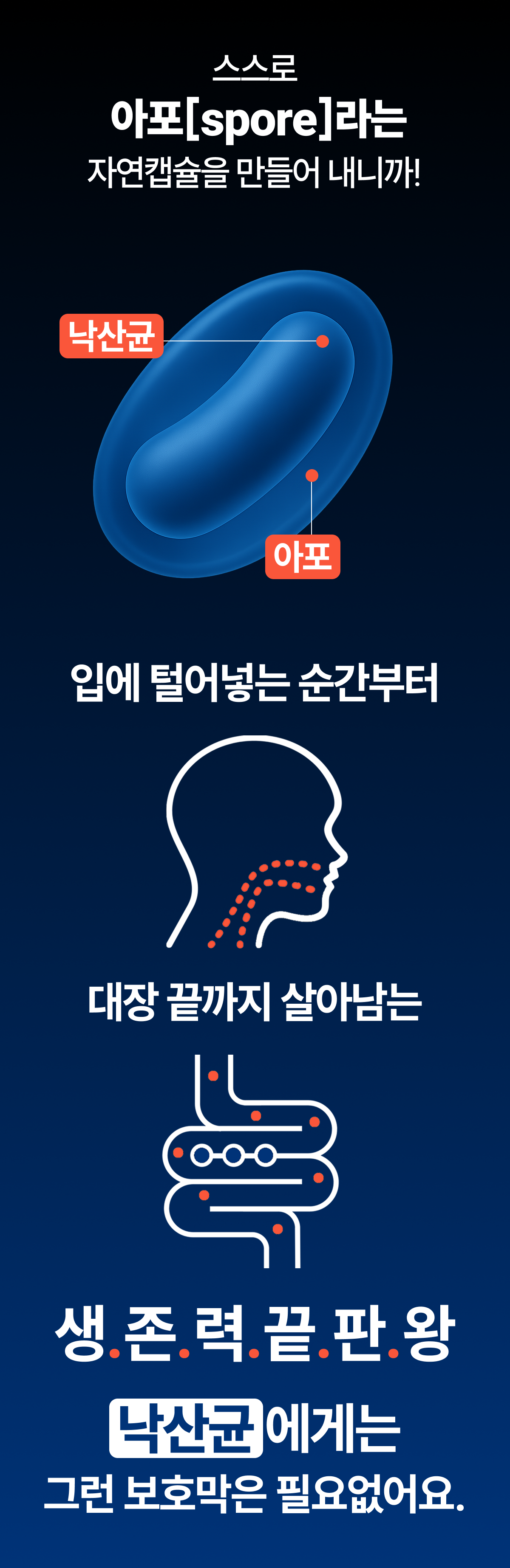 밸런스핏크러셔 [Balancefit Crusher]