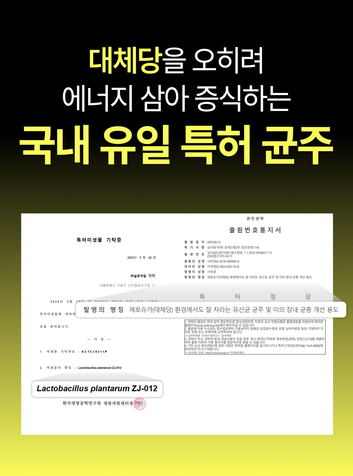 헬시핏크러셔 [Healthyfit Crusher]