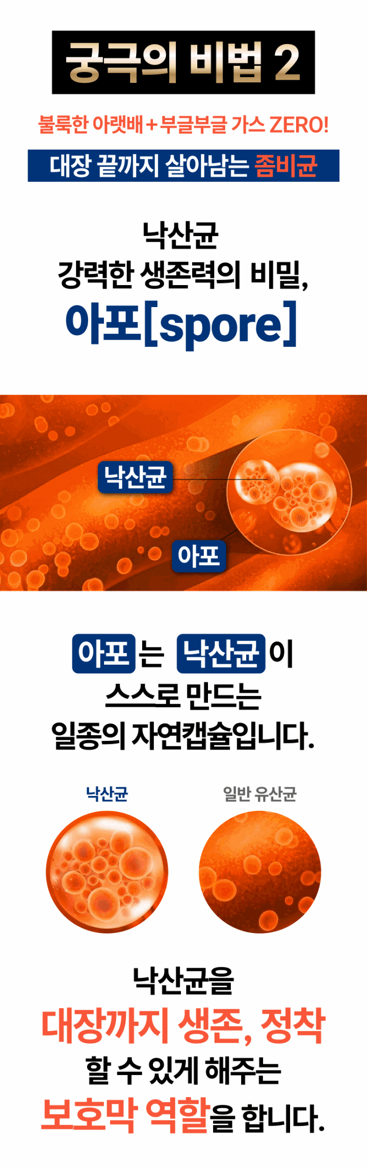 밸런스핏크러셔 [Balancefit Crusher]