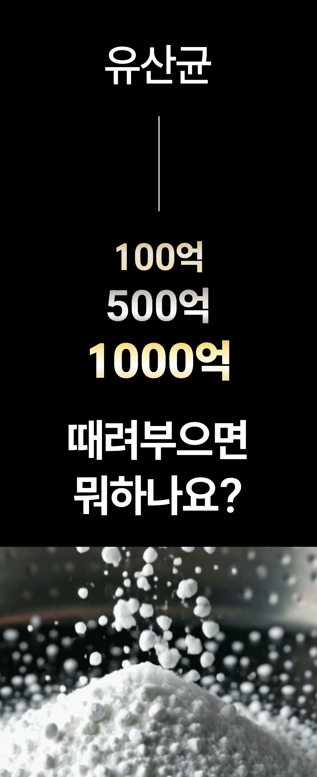 헬시핏크러셔 [Healthyfit Crusher]