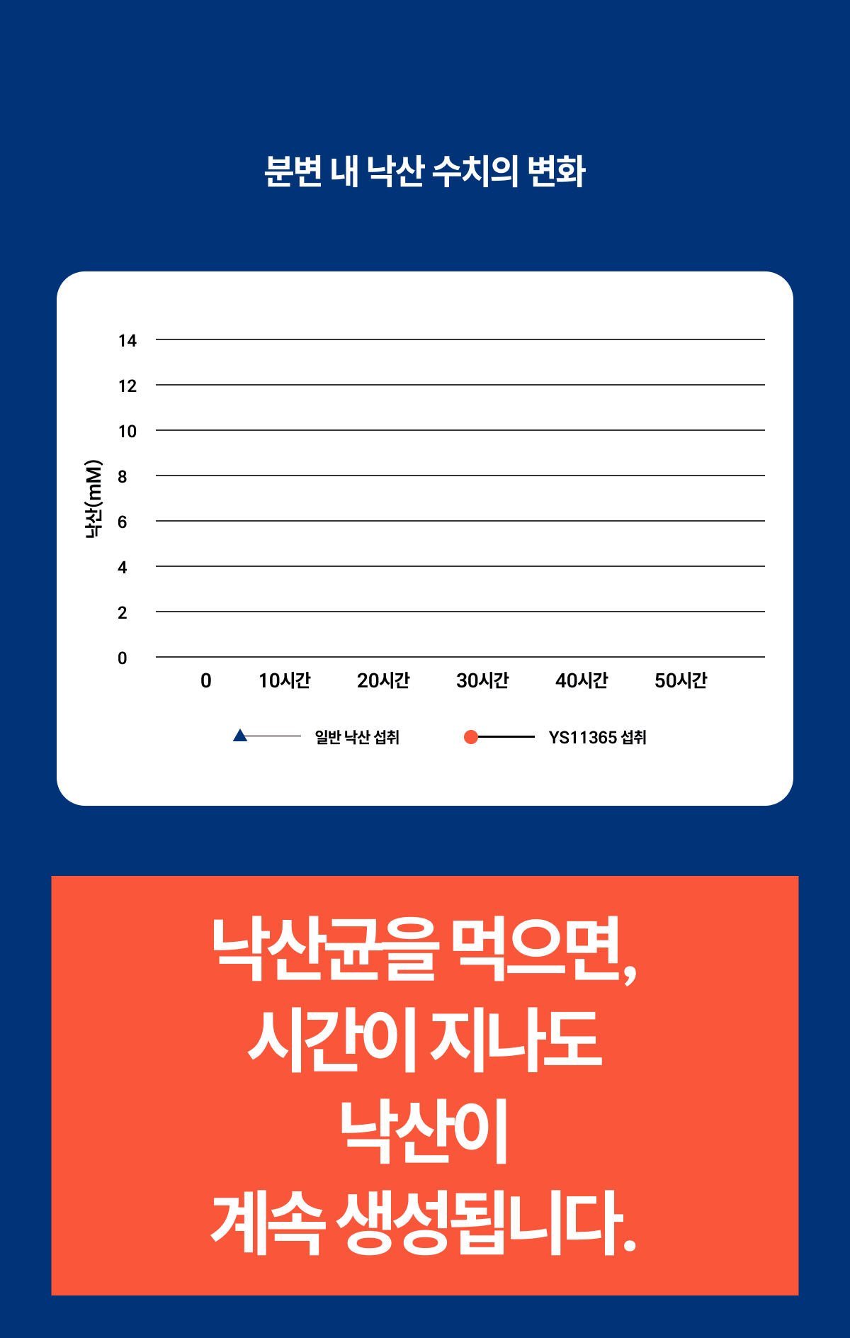 밸런스핏크러셔 [Balancefit Crusher]