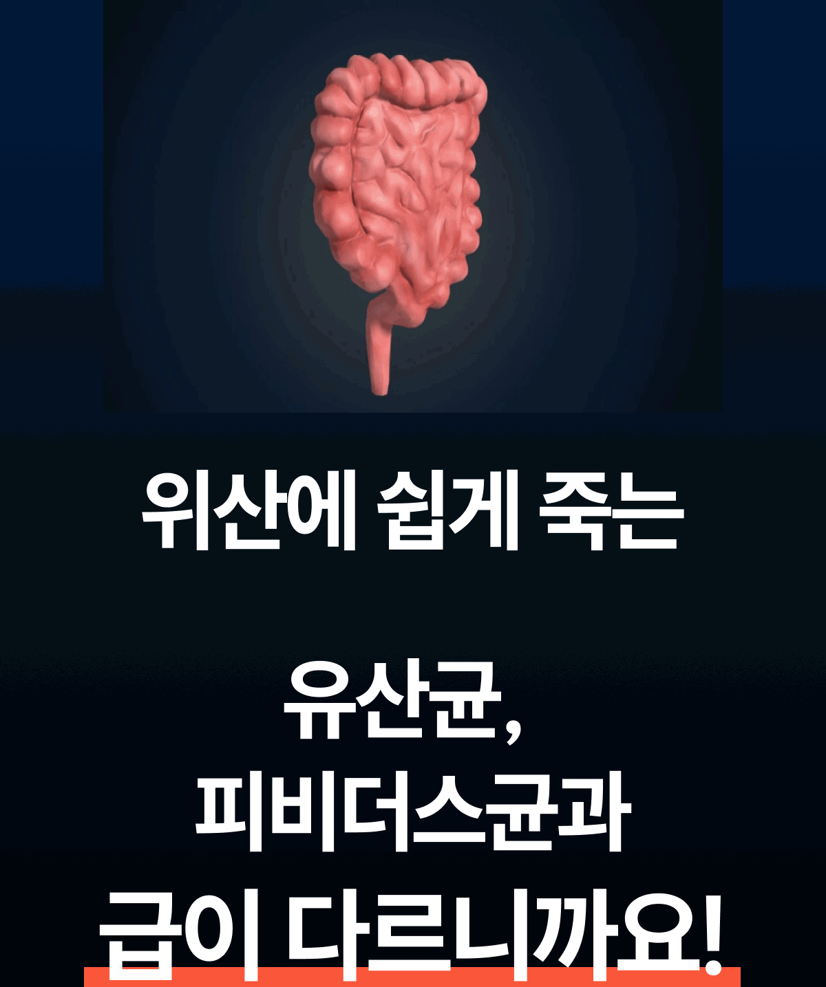 밸런스핏크러셔 [Balancefit Crusher]