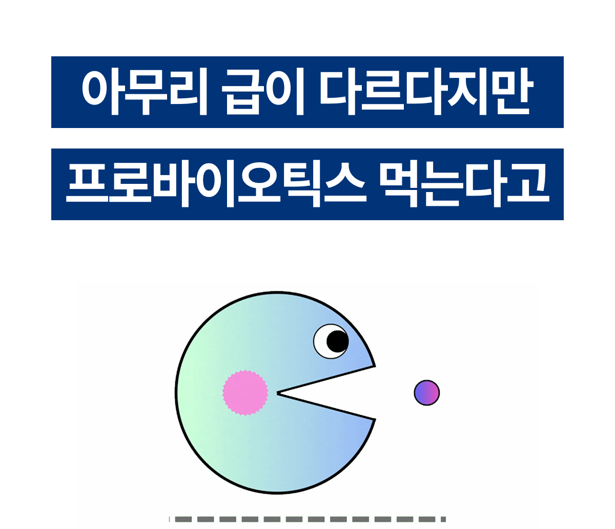 밸런스핏크러셔 [Balancefit Crusher]