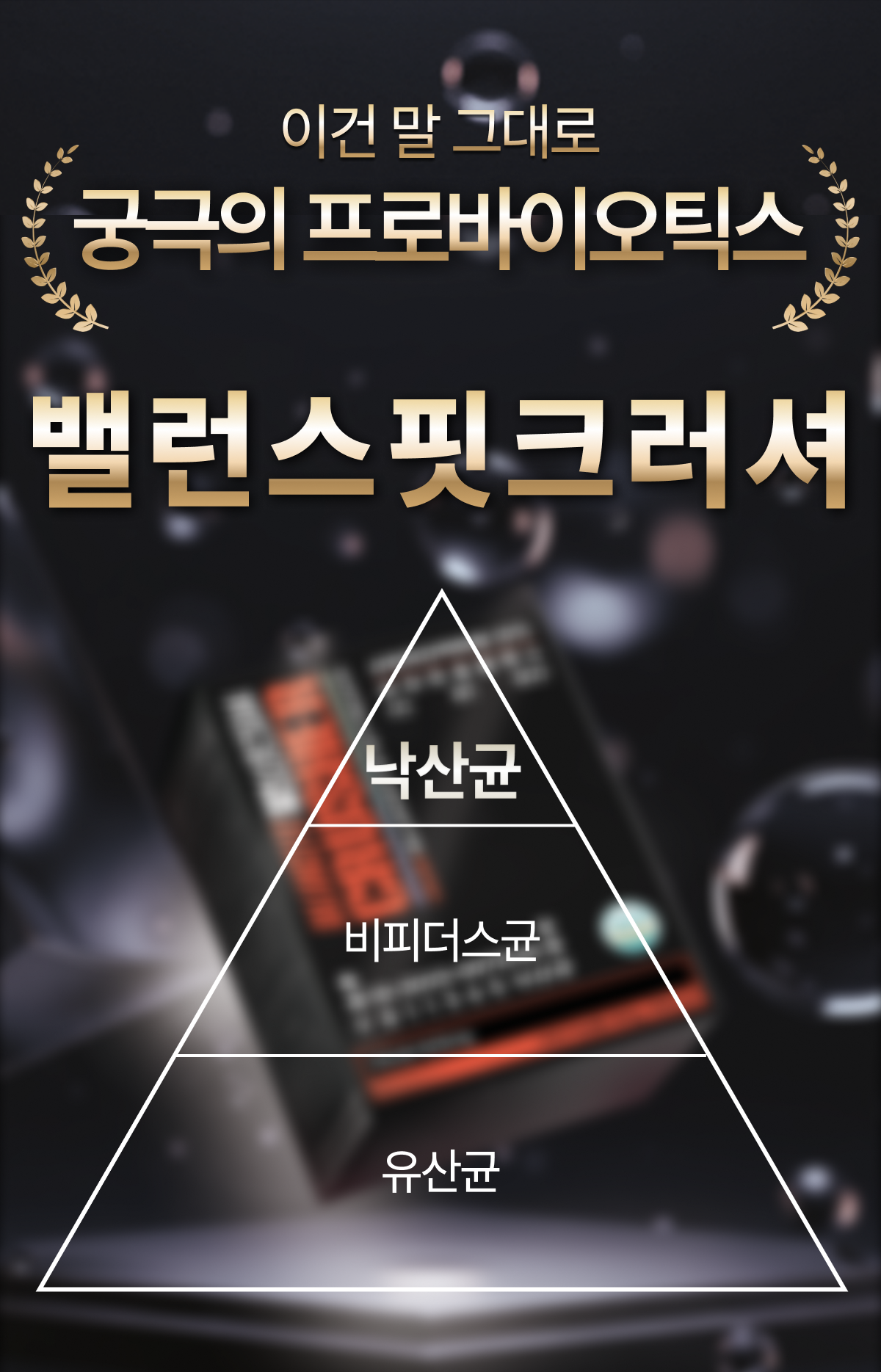 밸런스핏크러셔 [Balancefit Crusher]