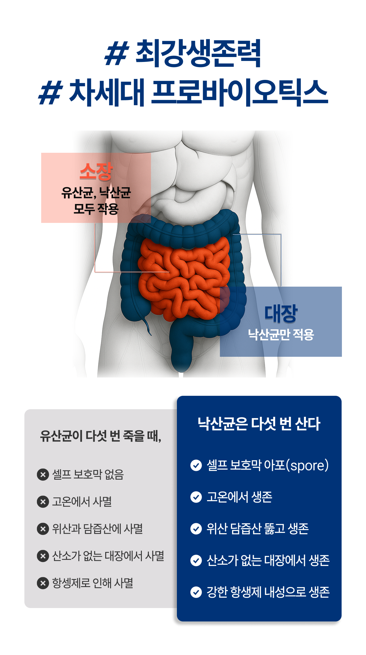 밸런스핏크러셔 [Balancefit Crusher]