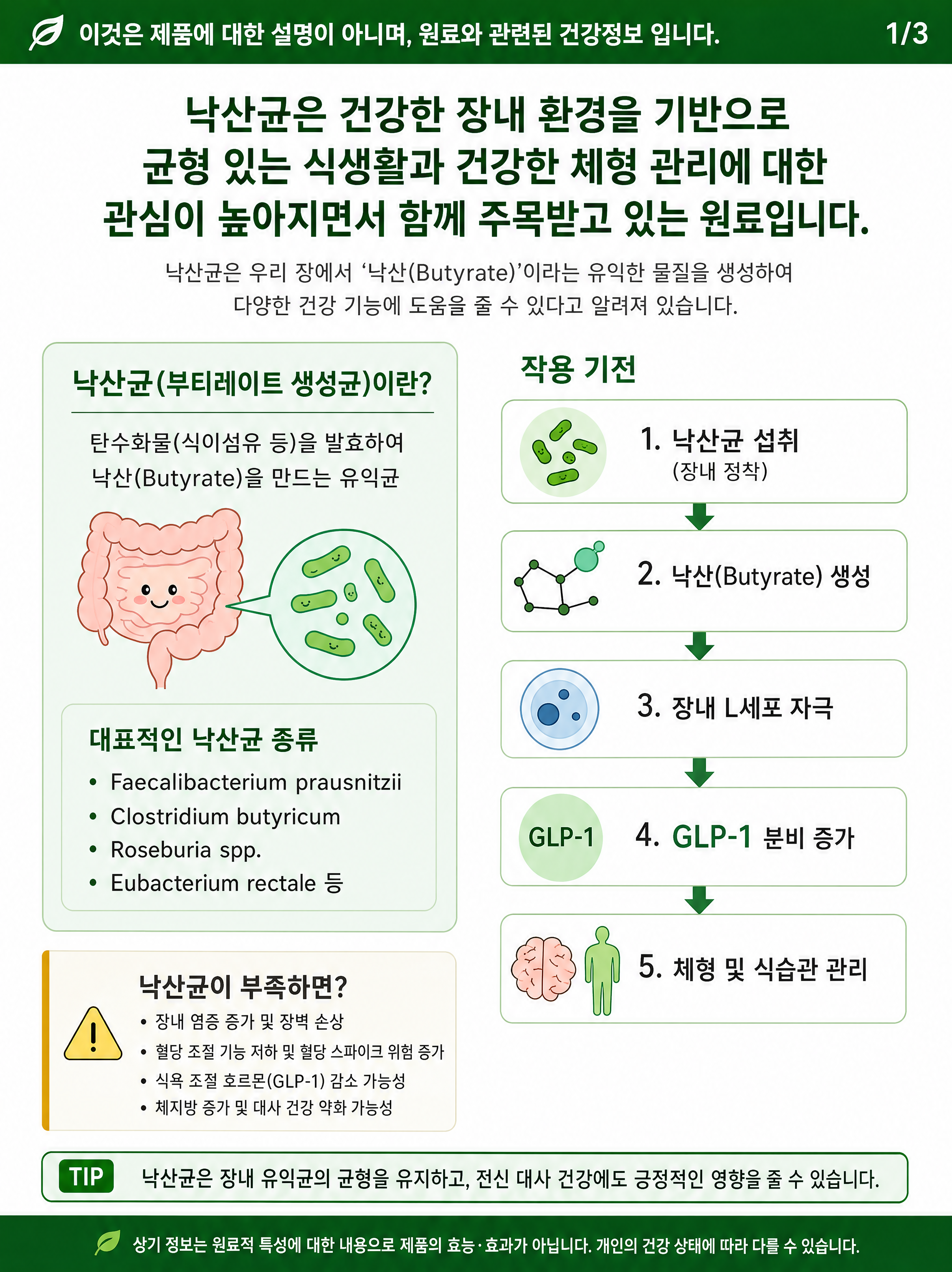 밸런스핏크러셔 [Balancefit Crusher]