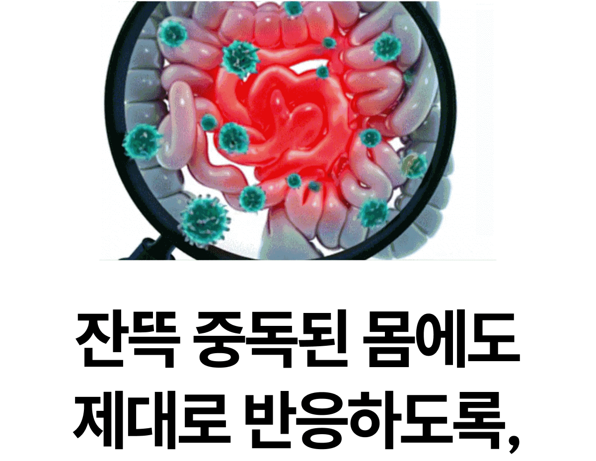 밸런스핏크러셔 [Balancefit Crusher]