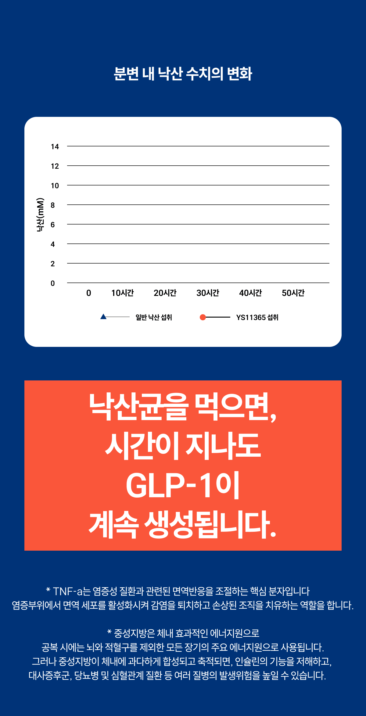 밸런스핏크러셔 [Balancefit Crusher]