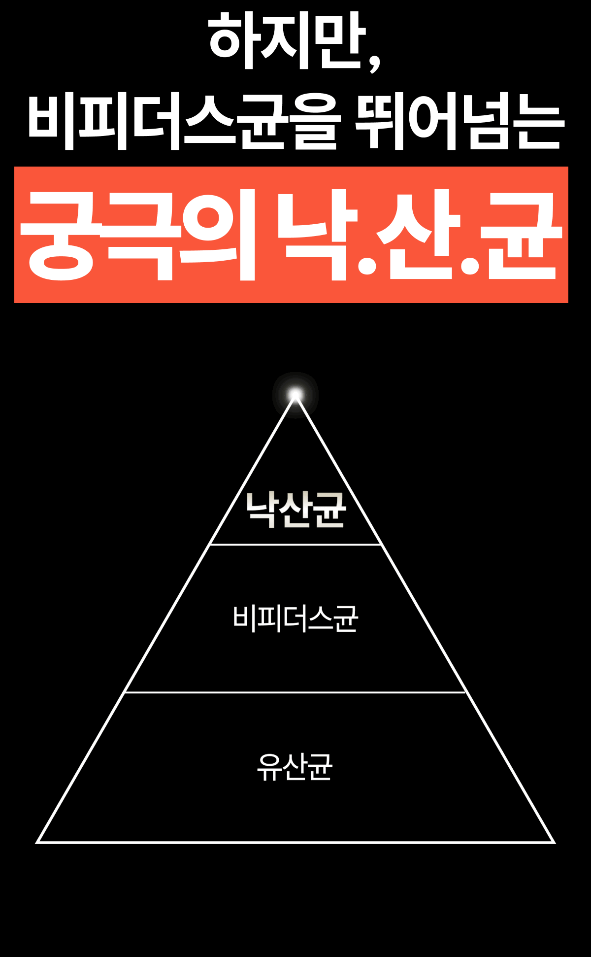 밸런스핏크러셔 [Balancefit Crusher]