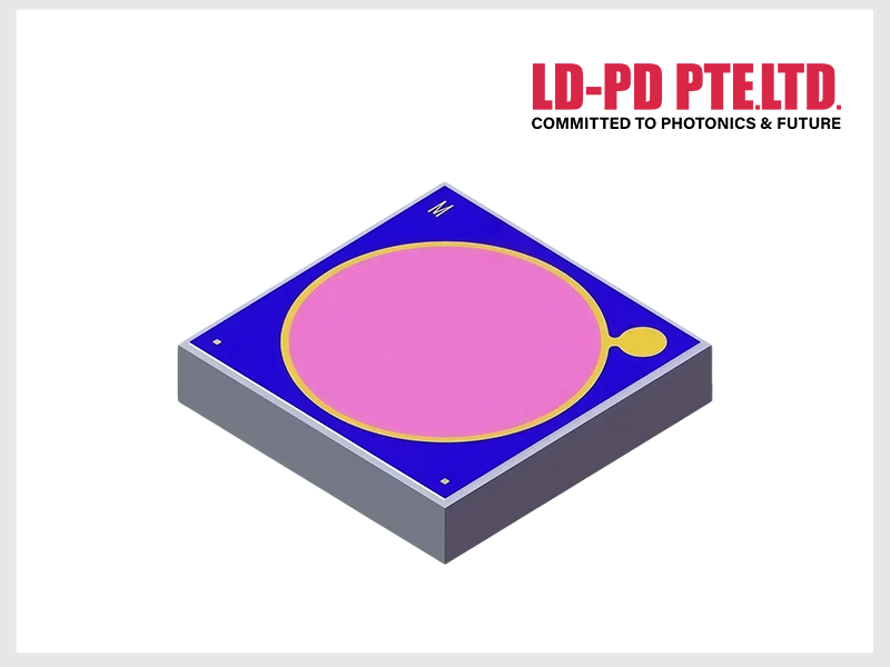 d4892a2279adc.png