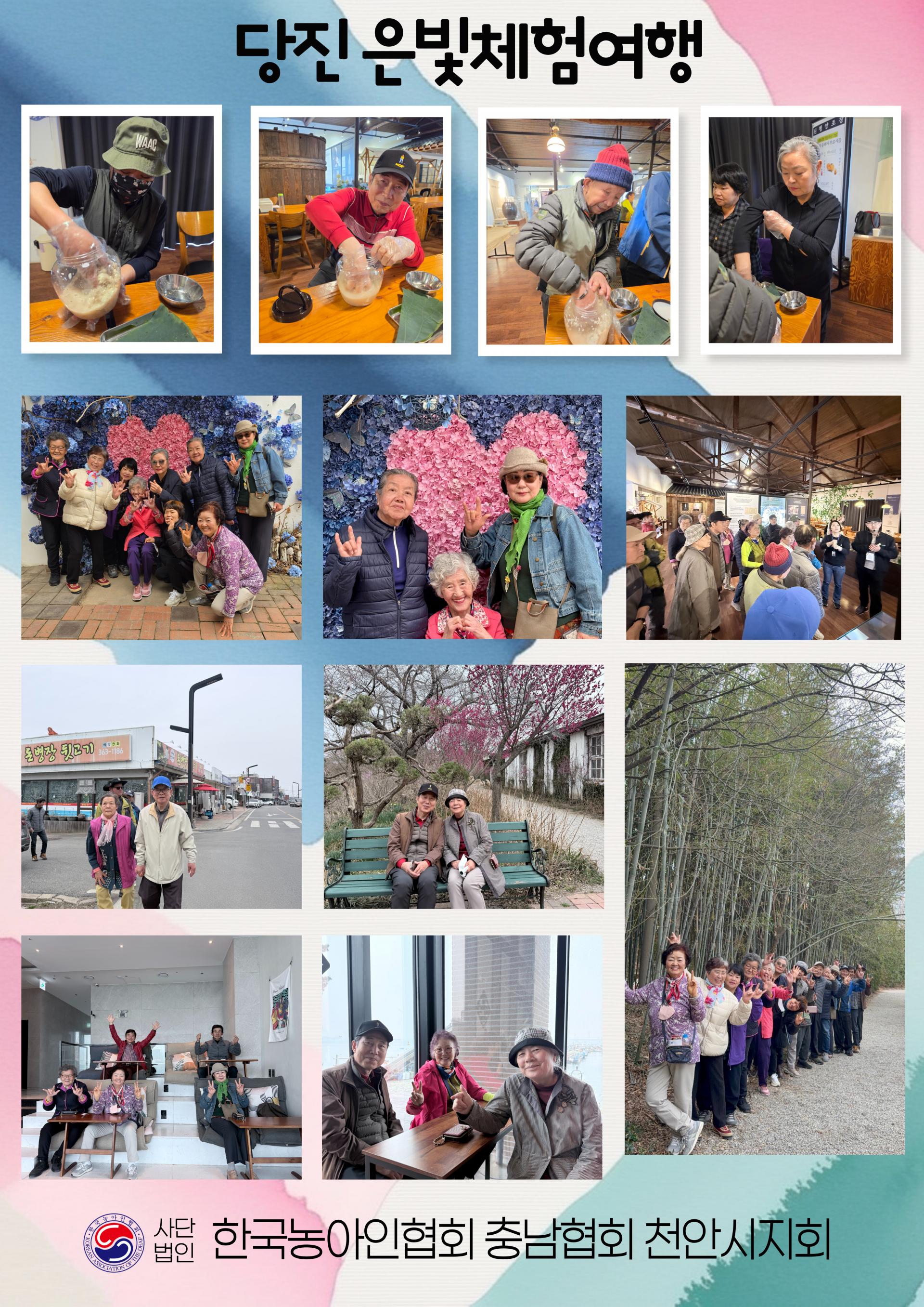 bc51585c8eeb2.jpg