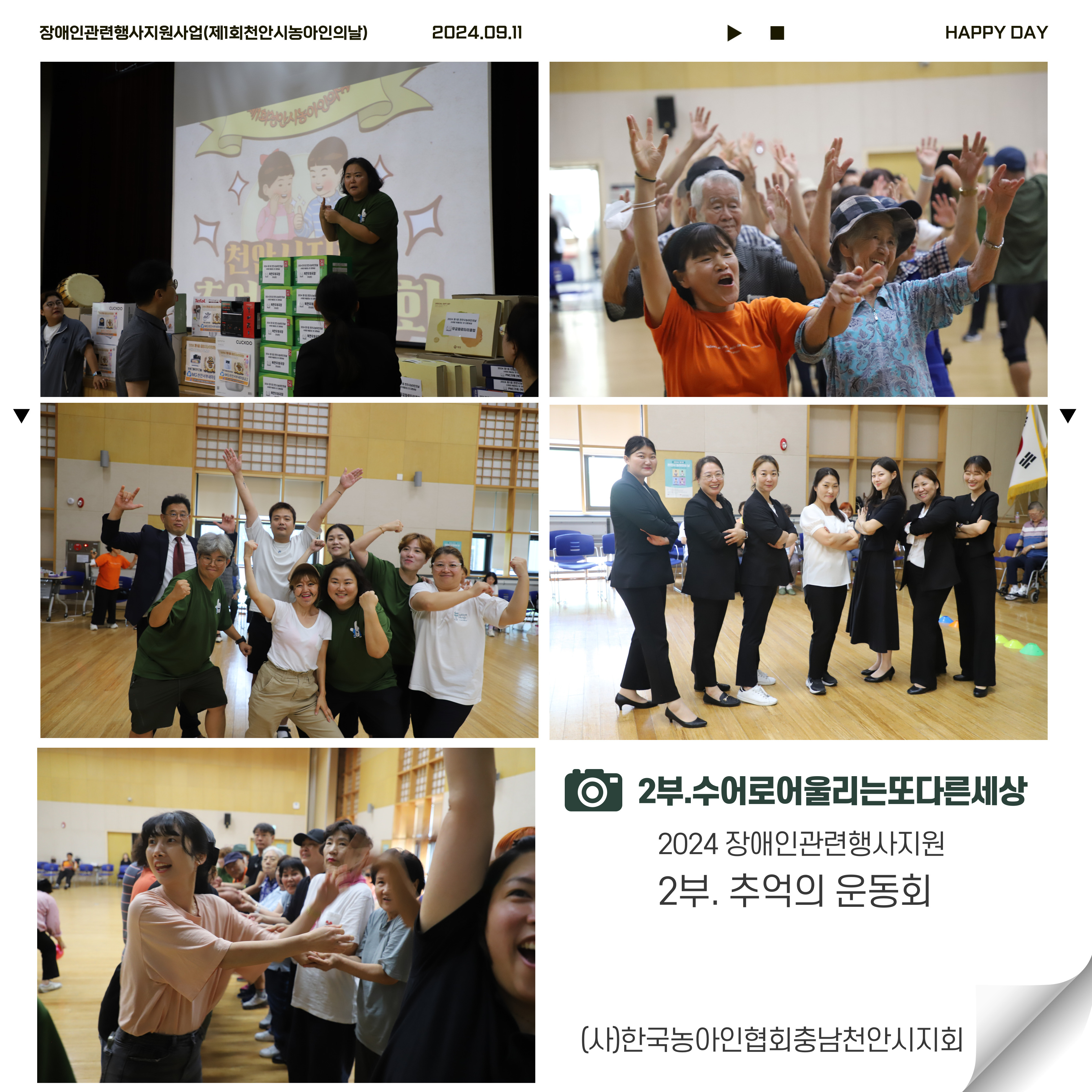 bd7c17e219dc7.jpg