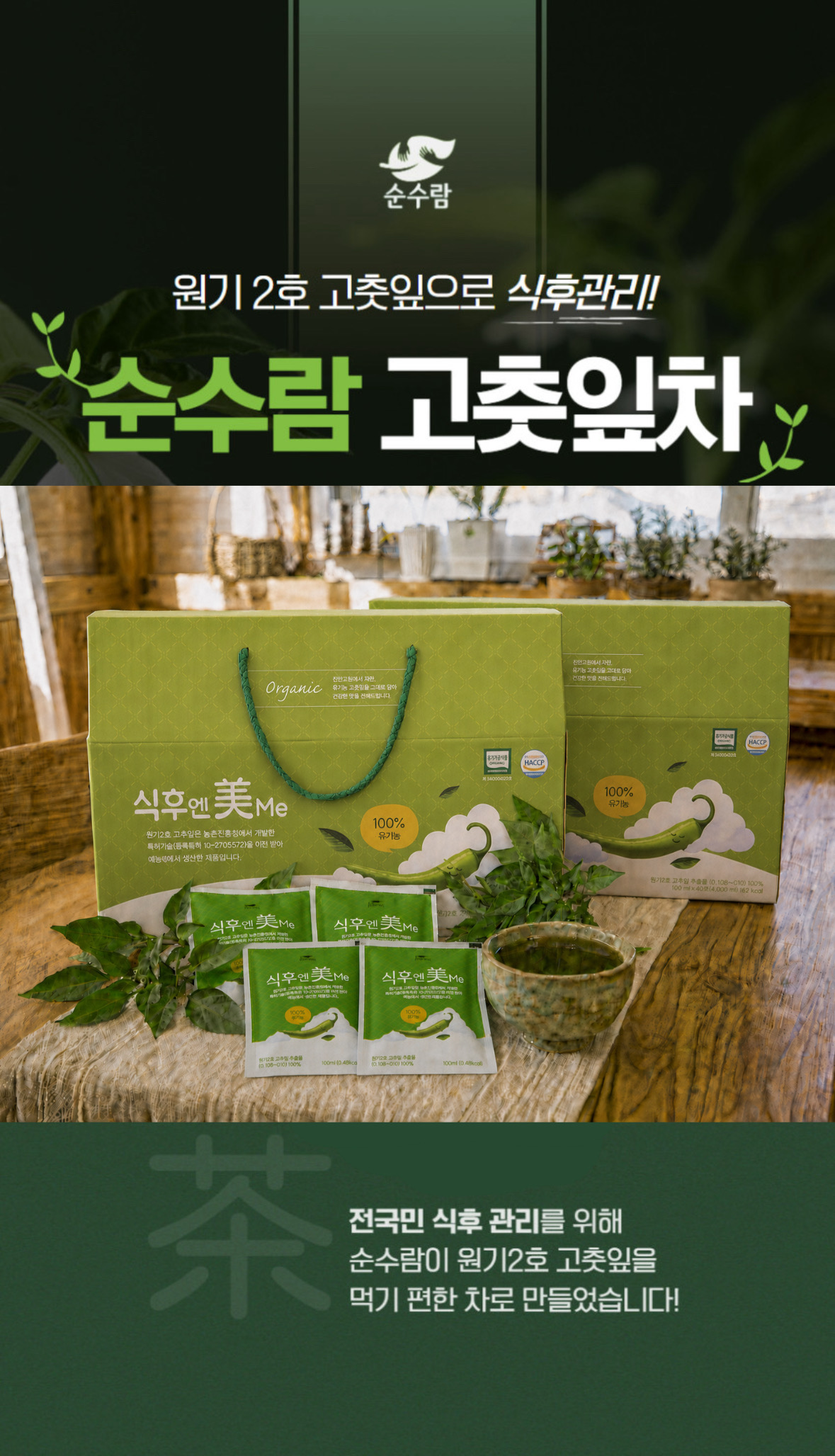 식후엔美me 선물세트 유기농 원기2호 더진한 고춧잎차 100ml 40봉