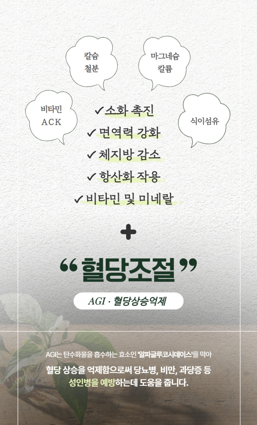 식후엔美me 선물세트 유기농 원기2호 더진한 고춧잎차 100ml 40봉