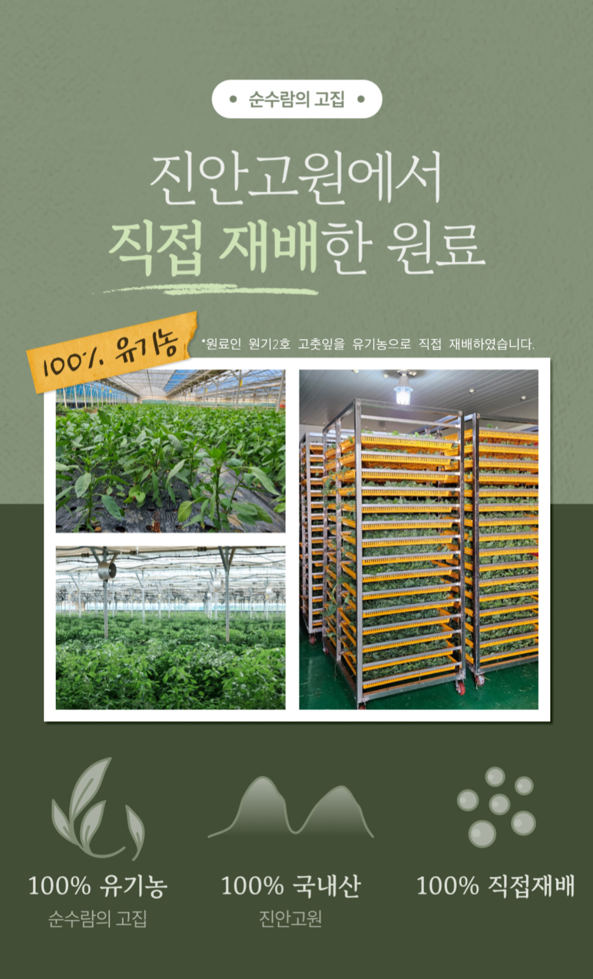 원기2호 고춧잎 누룽지 135g 2개