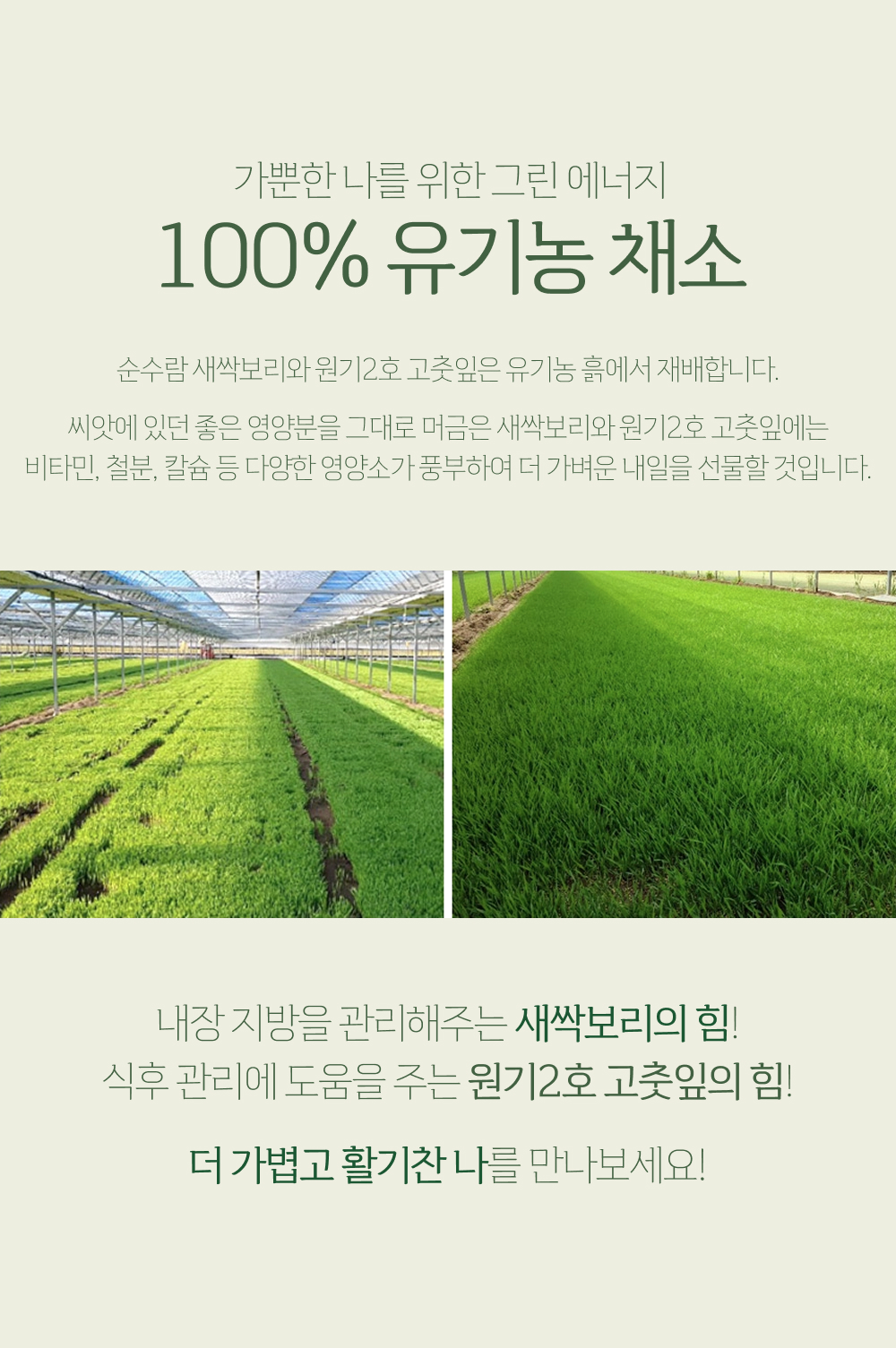 원기2호 고춧잎 누룽지 135g 2개