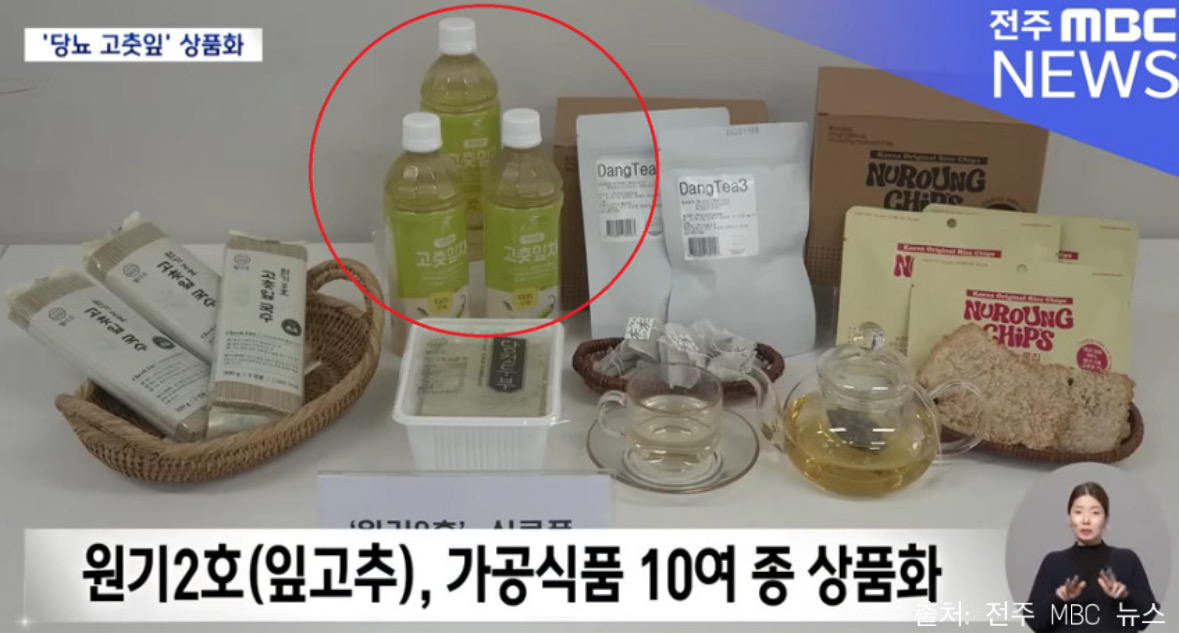식후엔美me 유기농 원기2호 더진한 고춧잎차 100mL 10봉