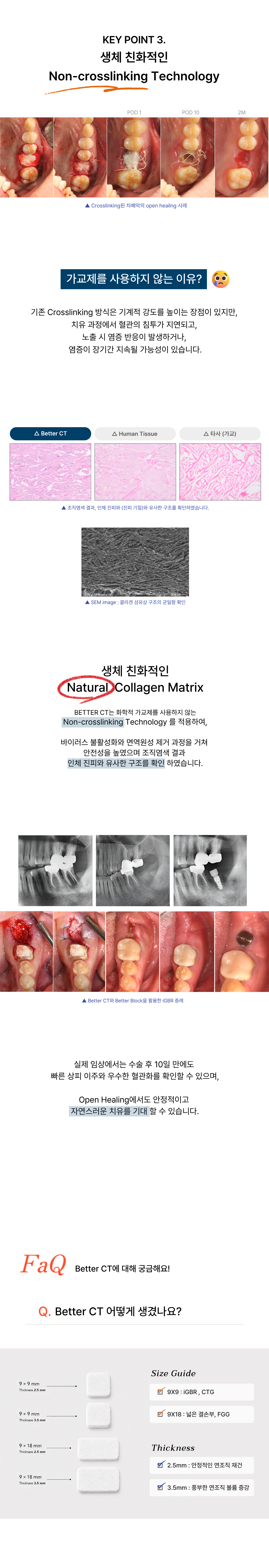 Better CT (Connective Tissue)