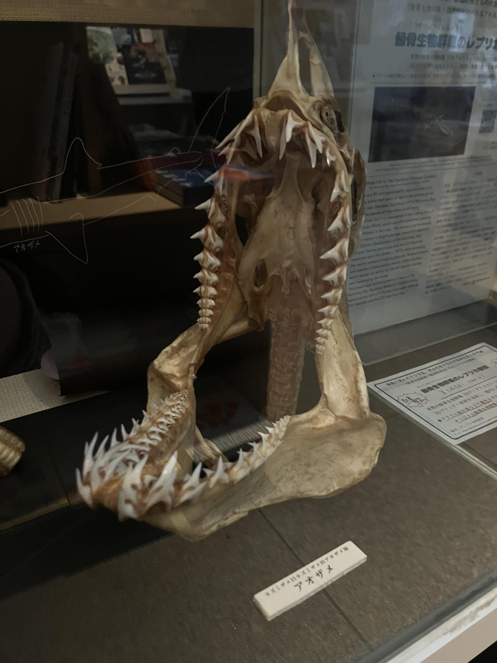 098ca2e436435.jpg