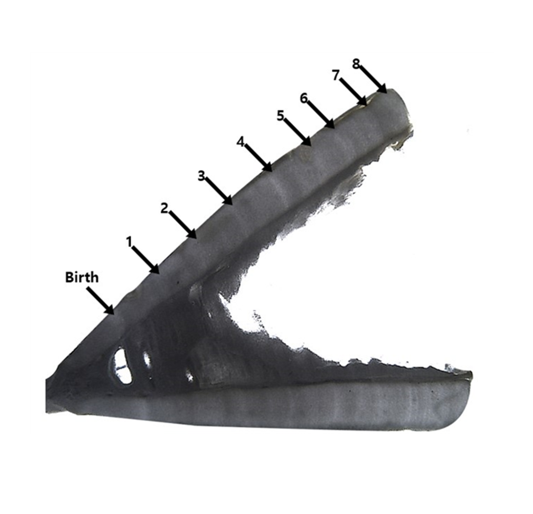 0fb9ab55e1407.png