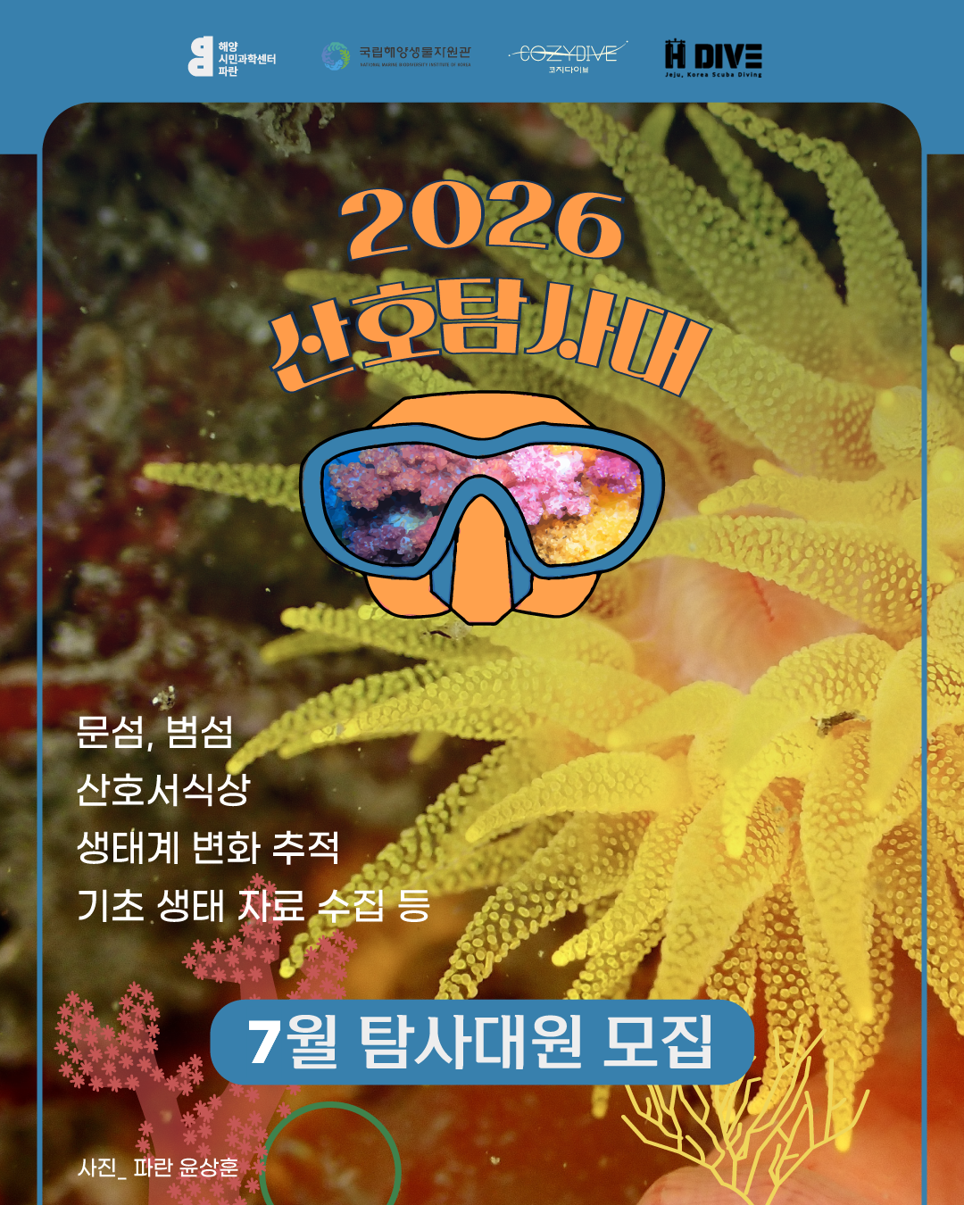 19cd257922abf.png