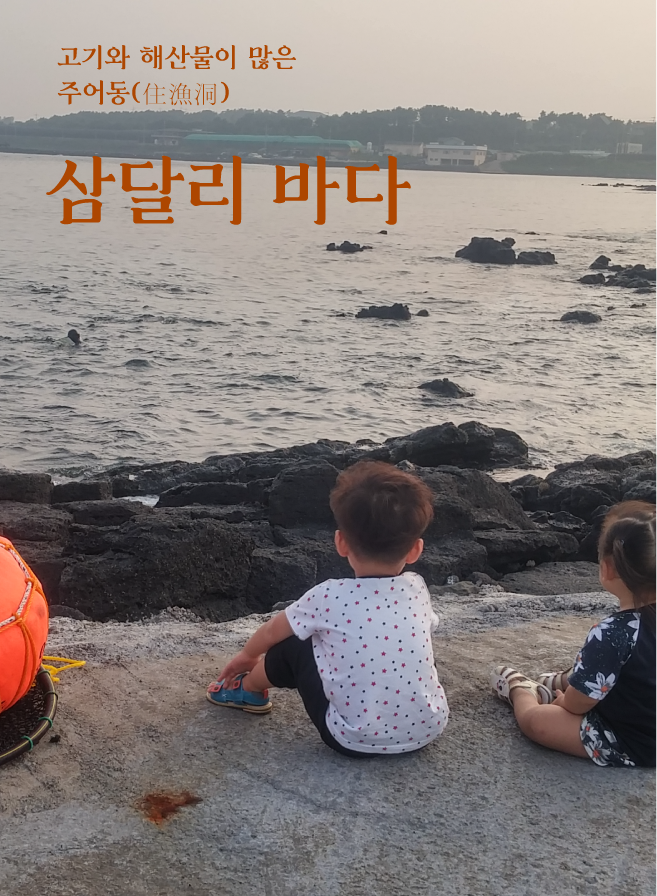 26390bb71f832.png