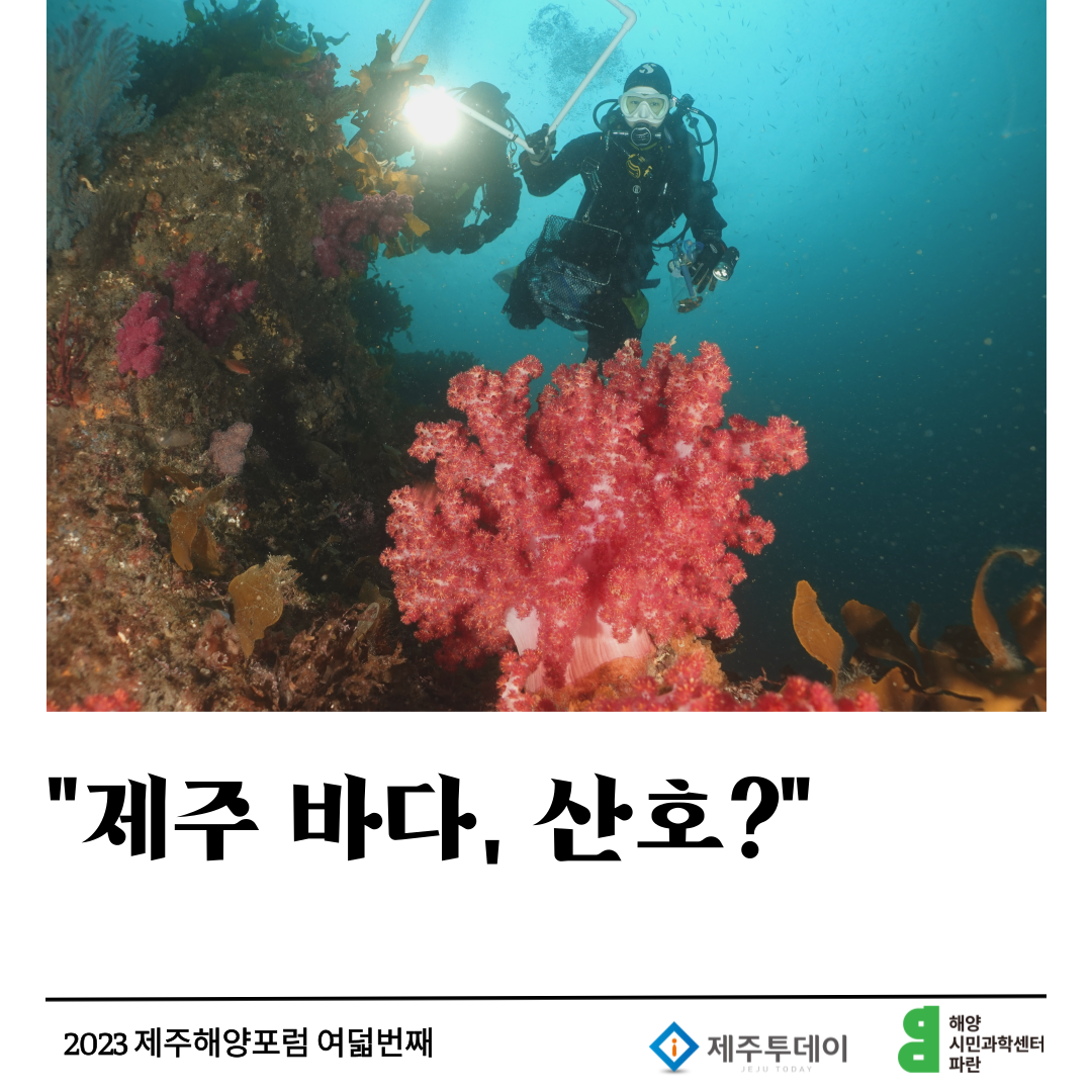 3745e74032126.png