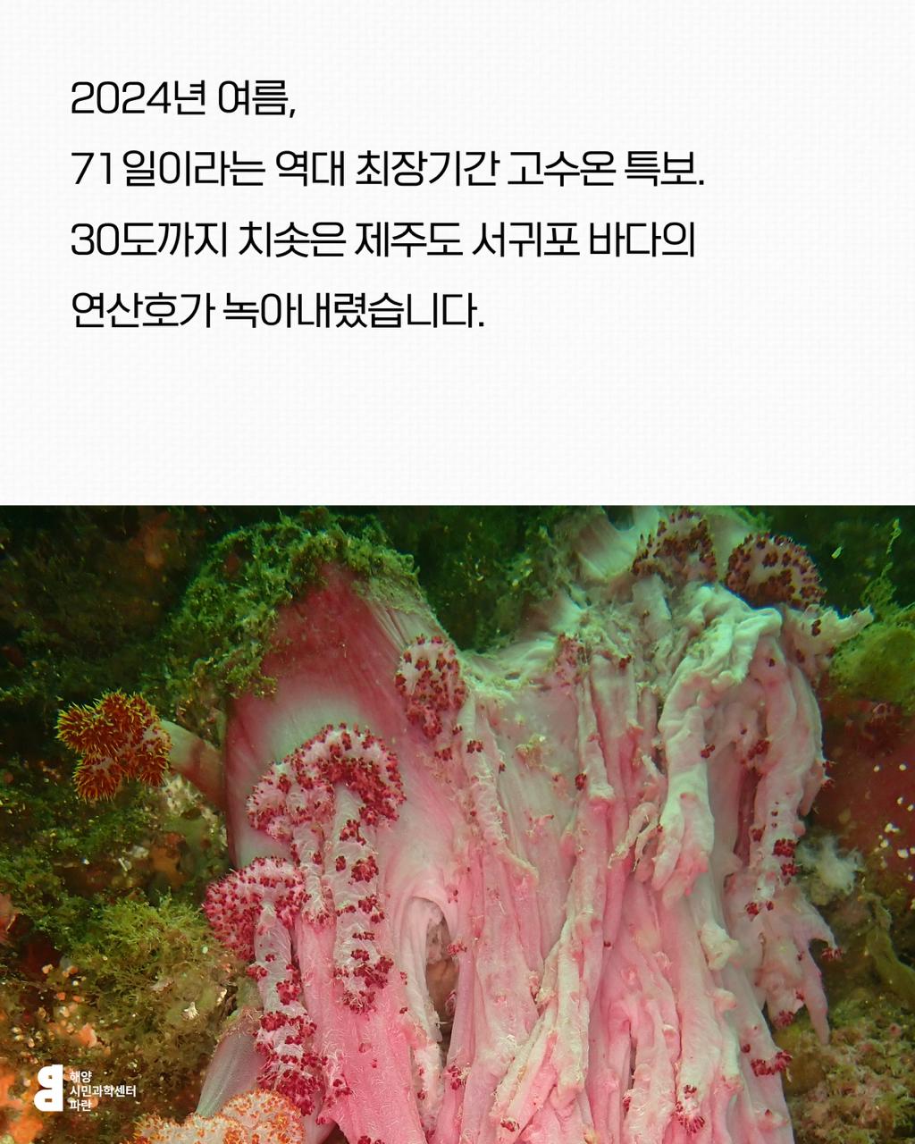 37aa190432635.jpg