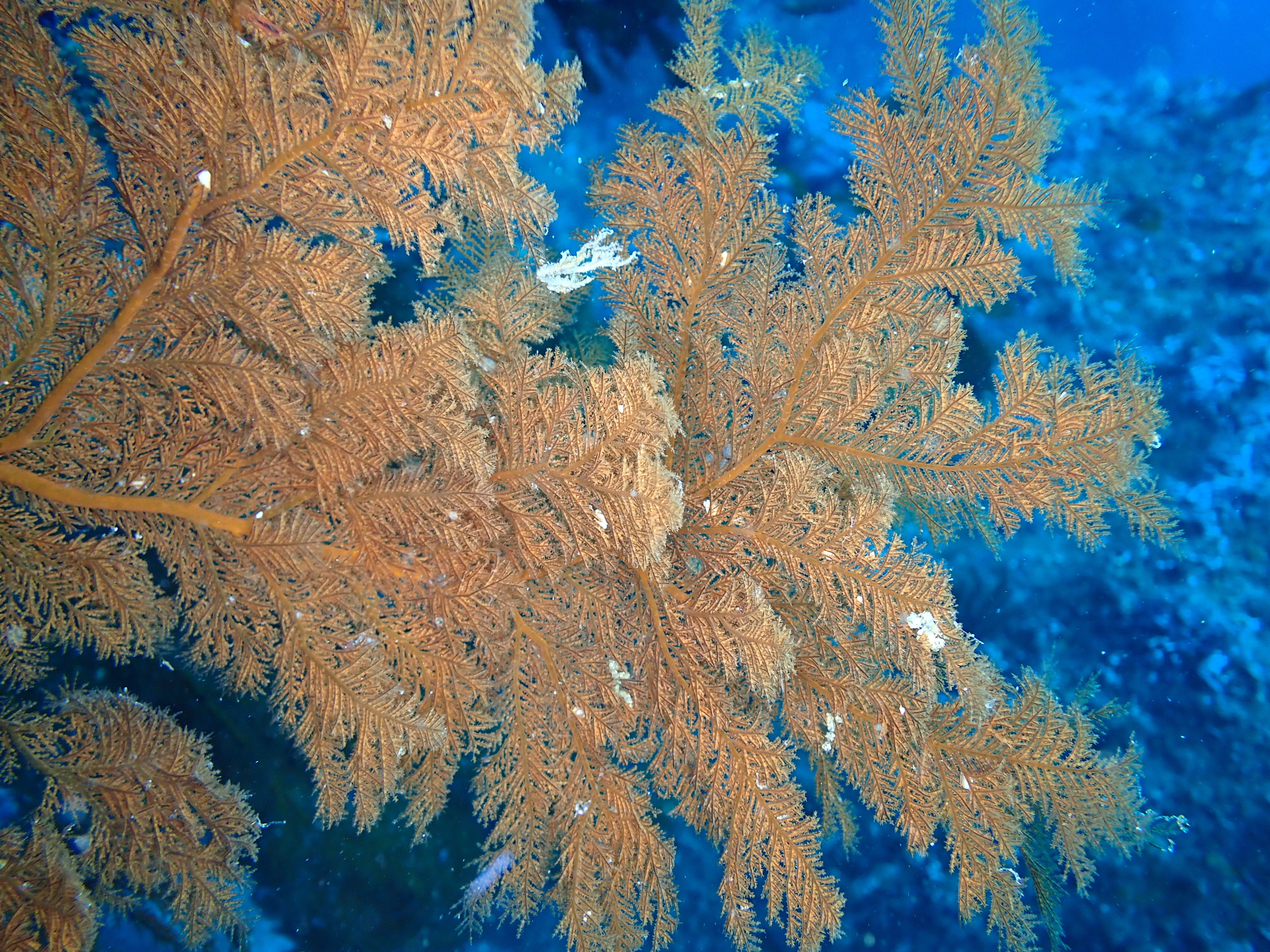 405071b04ab92.jpg