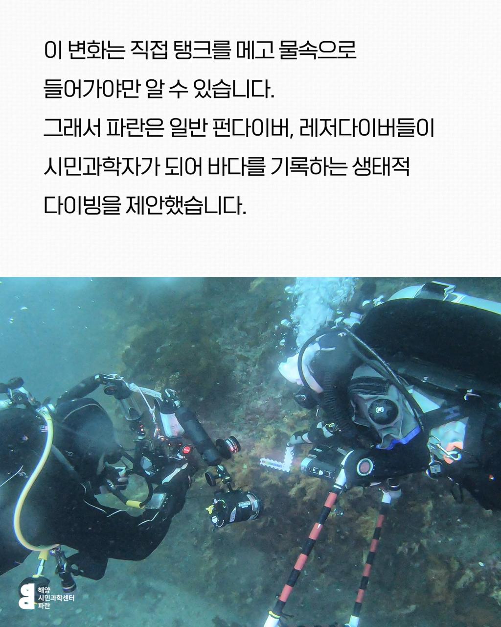 4292e79e50623.jpg
