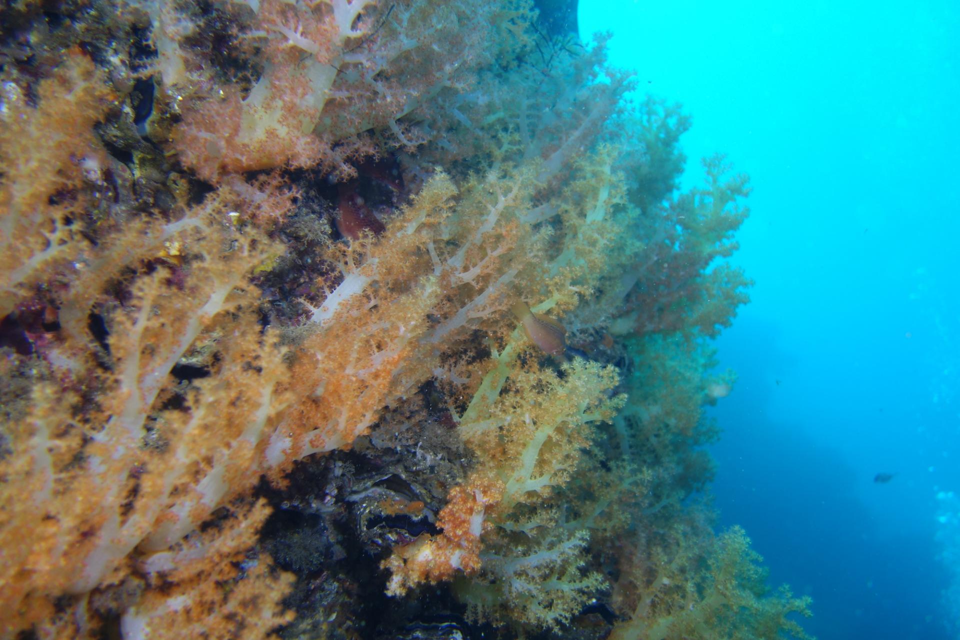 4f099ebe7619a.jpg