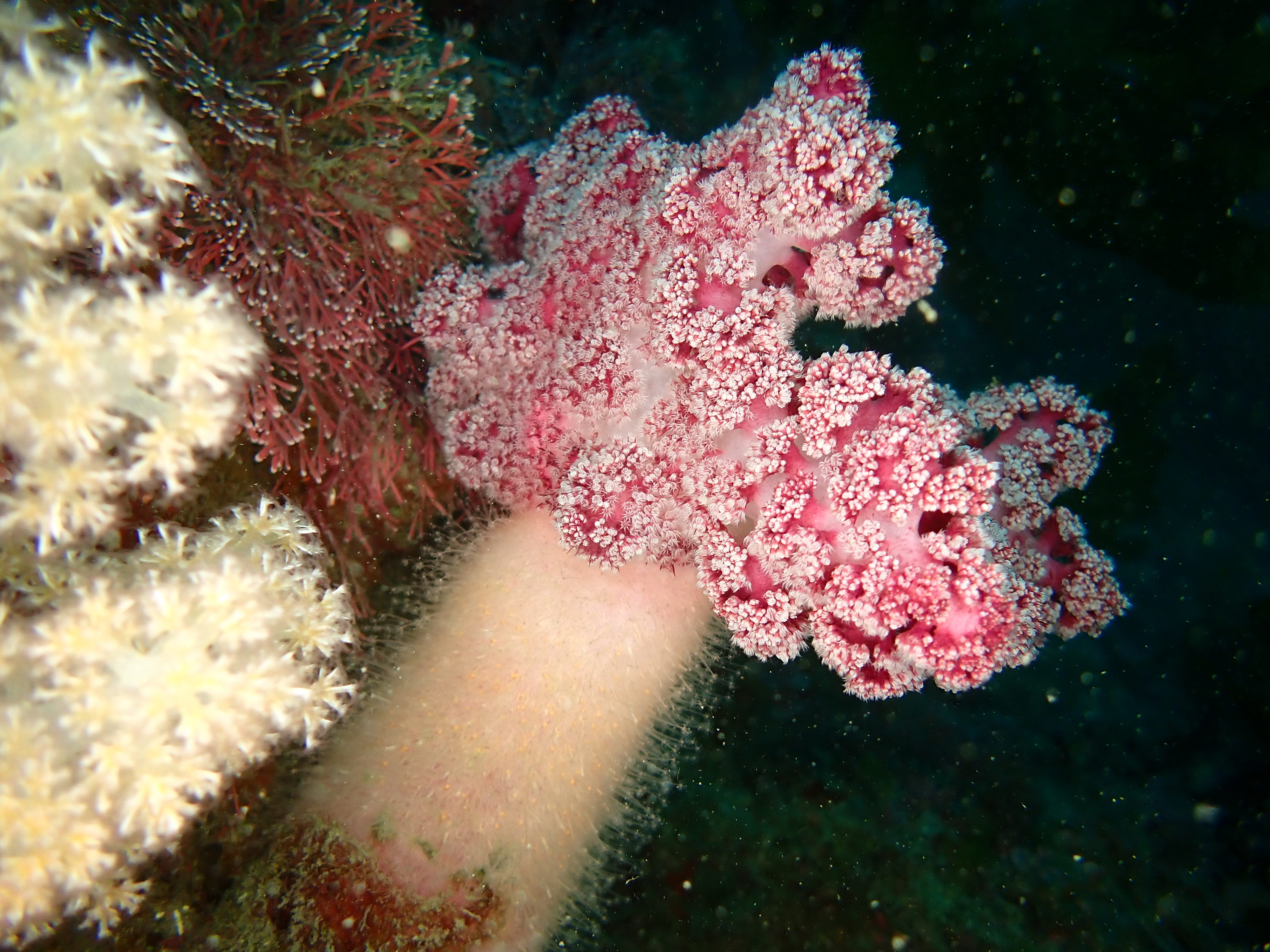 556fcb043b3ec.jpg