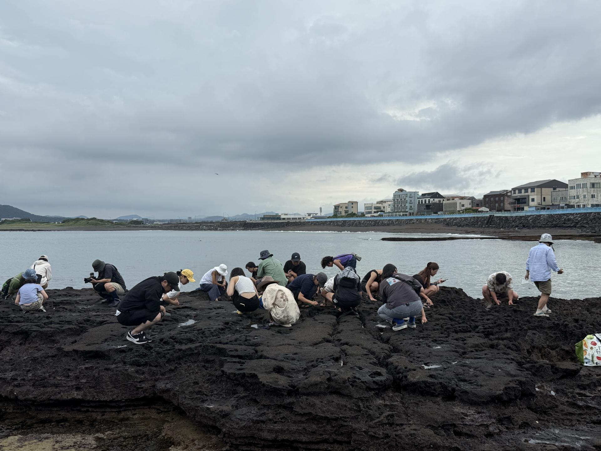 5.바다기록자되기-조수웅덩이 트랙 사진(2).JPG