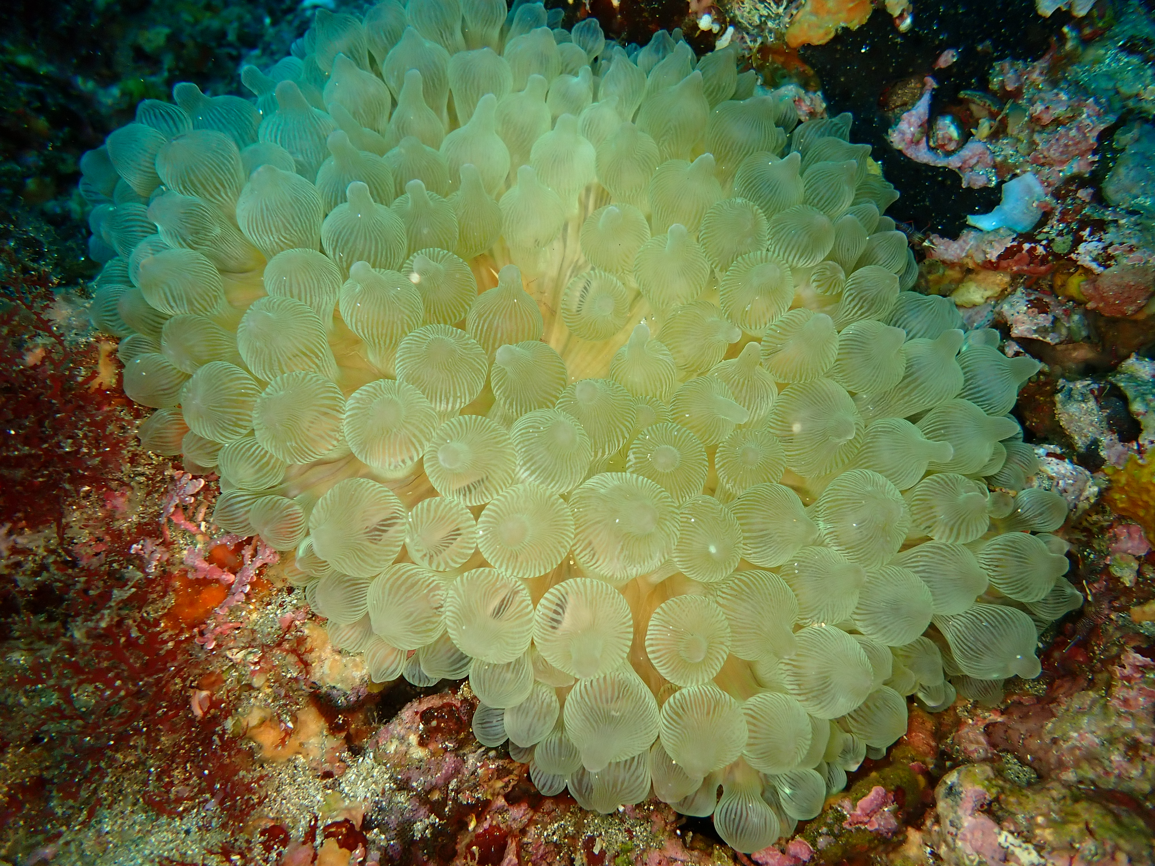 6f018cb91c611.jpg