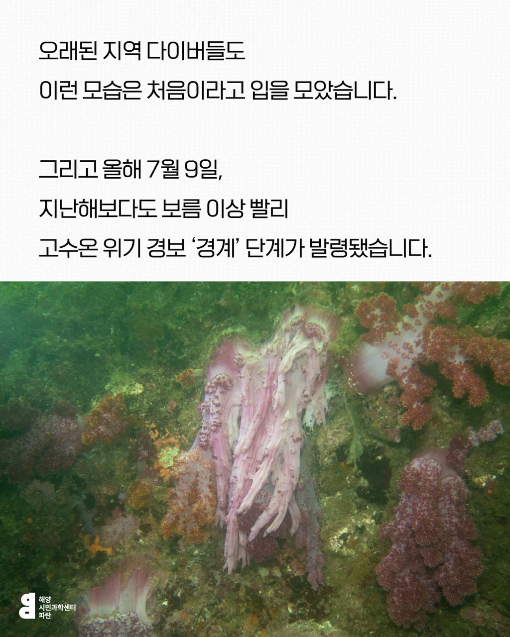 72fb703ec4e1e.jpg
