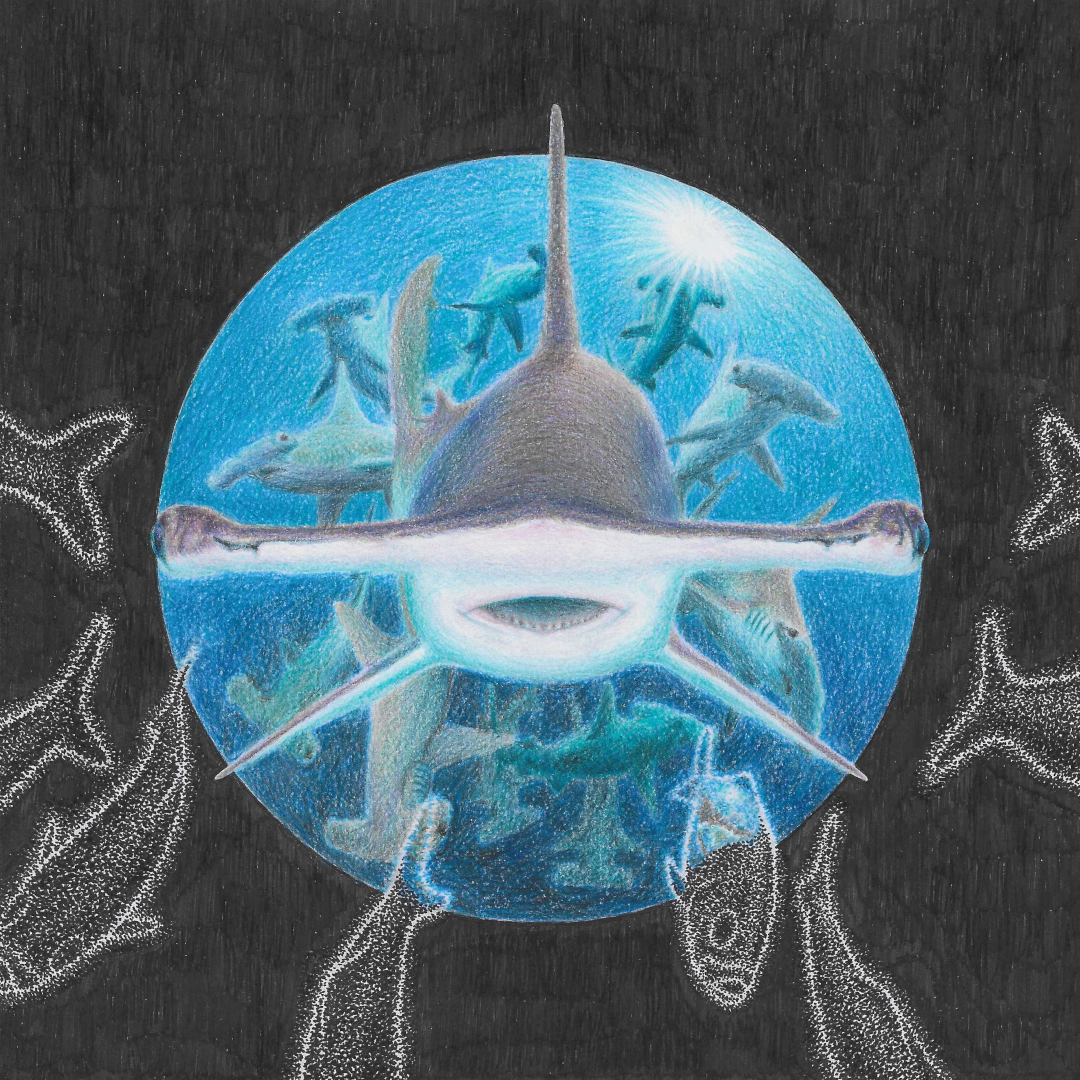 947d0ab54113e.png