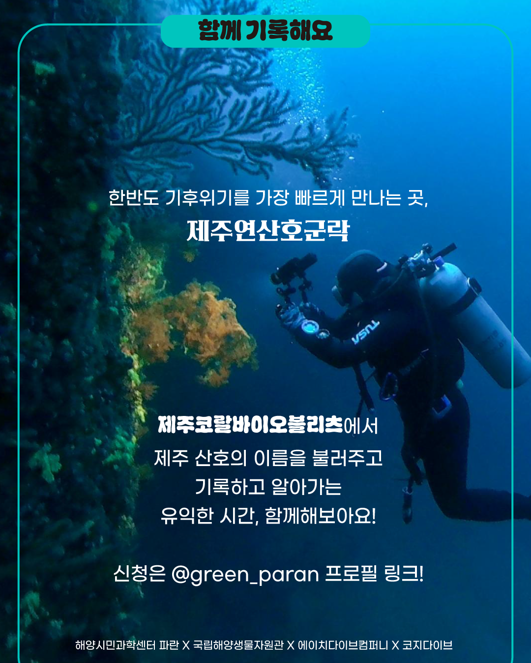 9ee227f1490ec.png