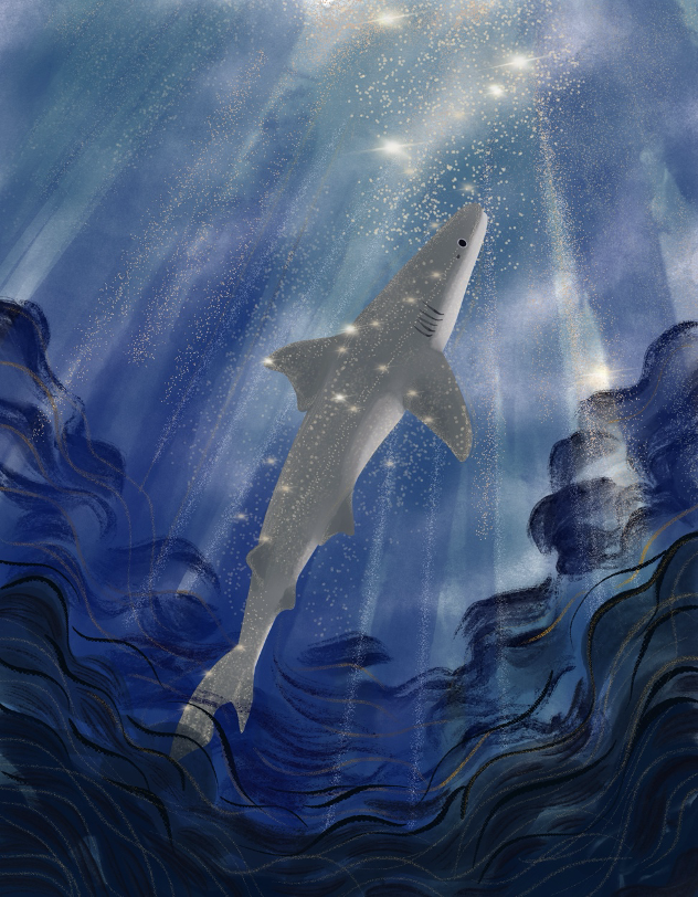 a206c2eef5f87.png