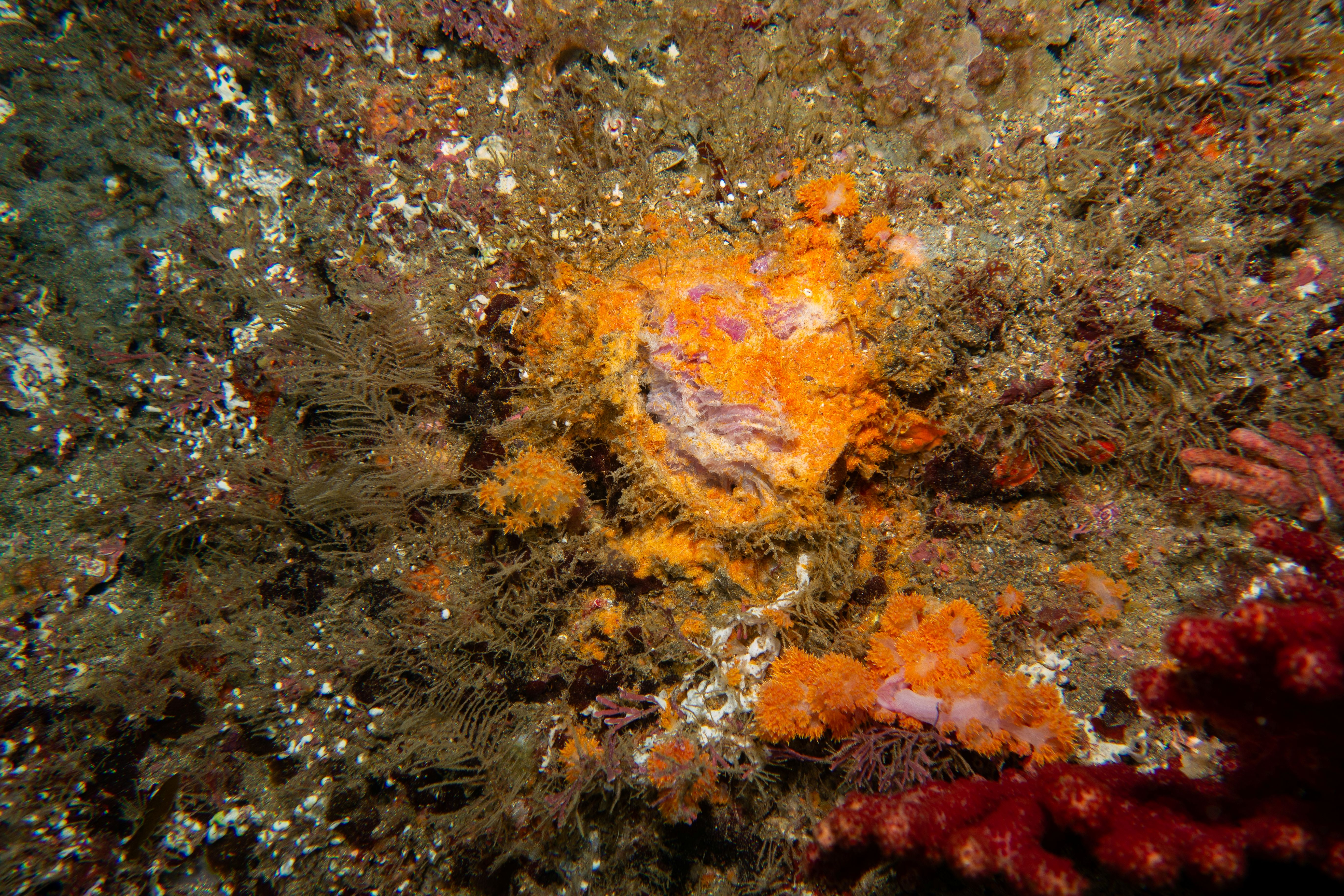afb0893e05216.jpg