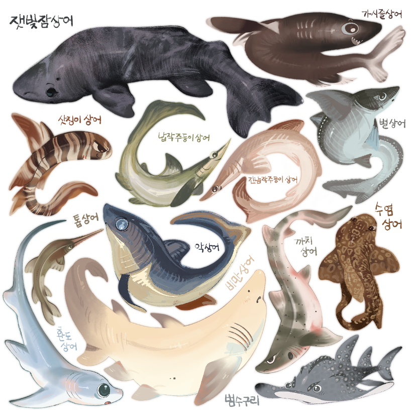 b46180a03587e.png