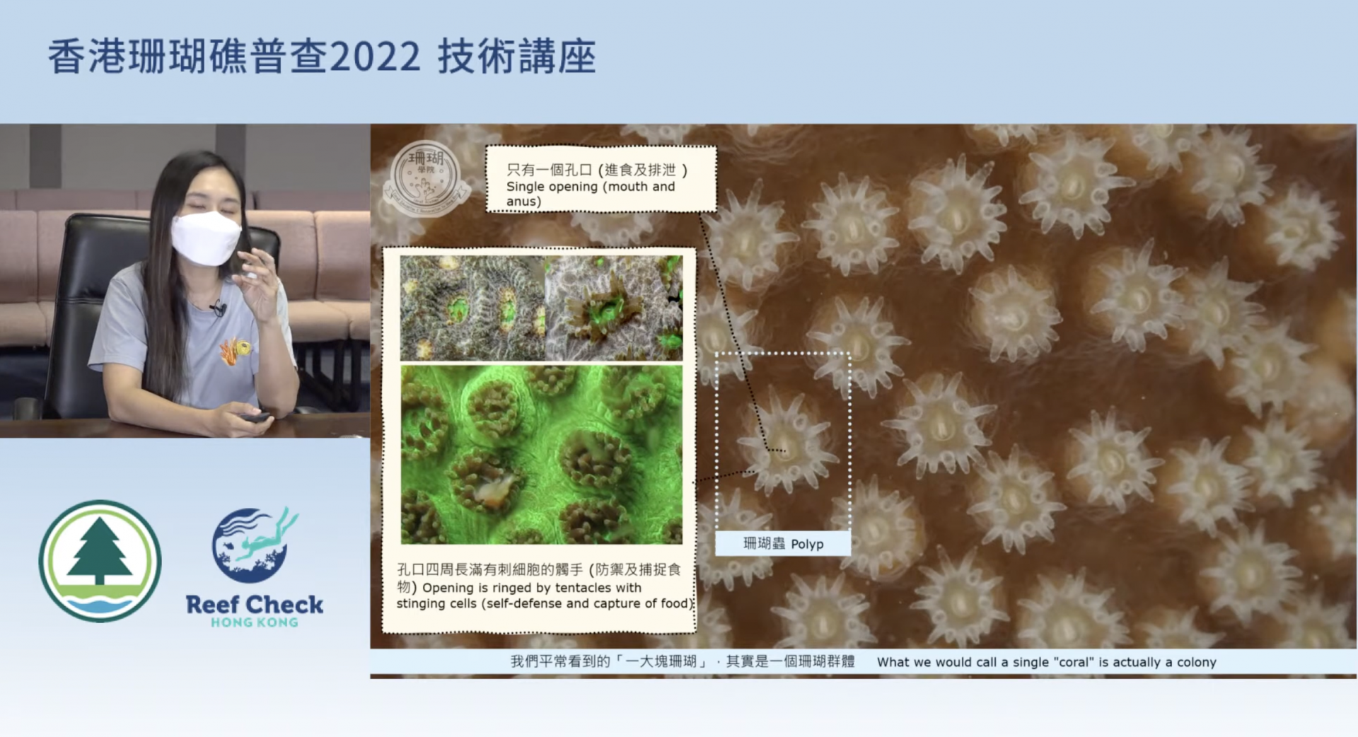 b96758e2cb0e8.png