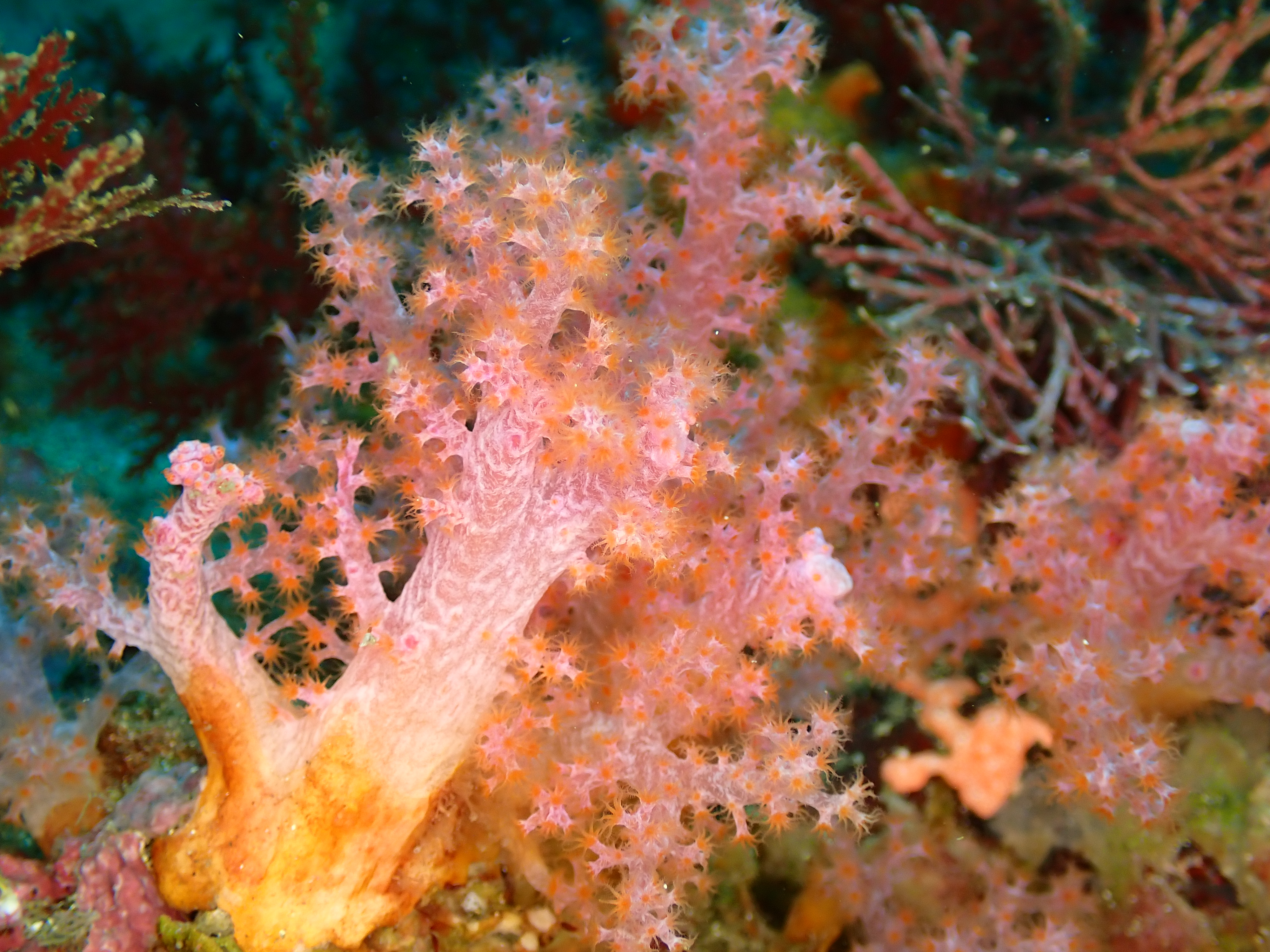 c1ef267322e78.jpg