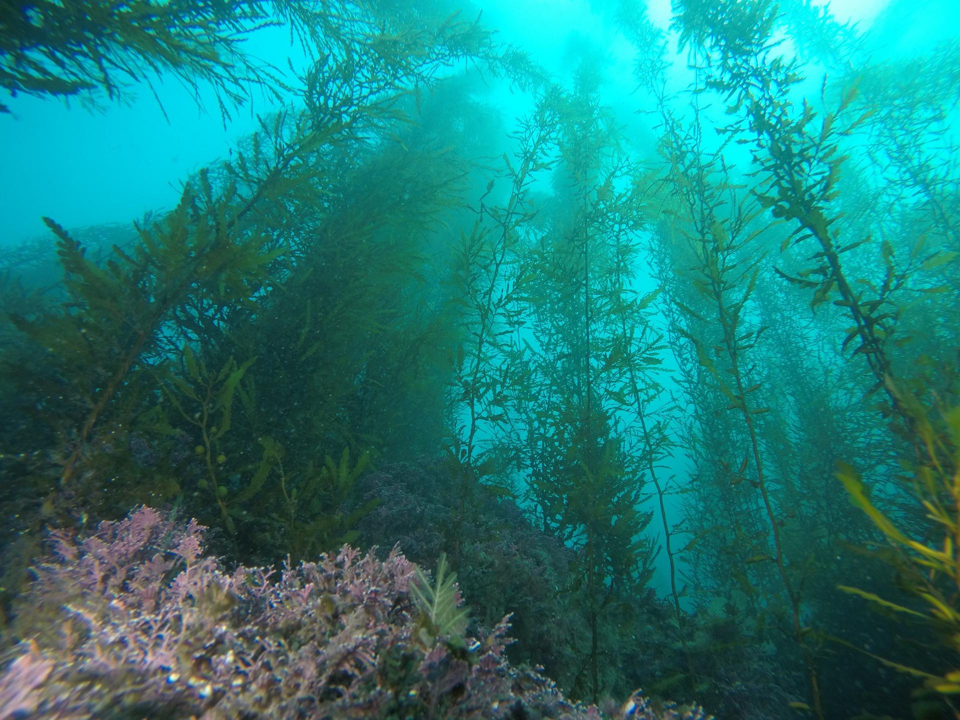 d92b86e72dbc7.jpg