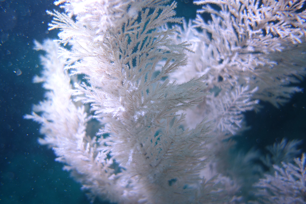 e78eefb523532.jpg