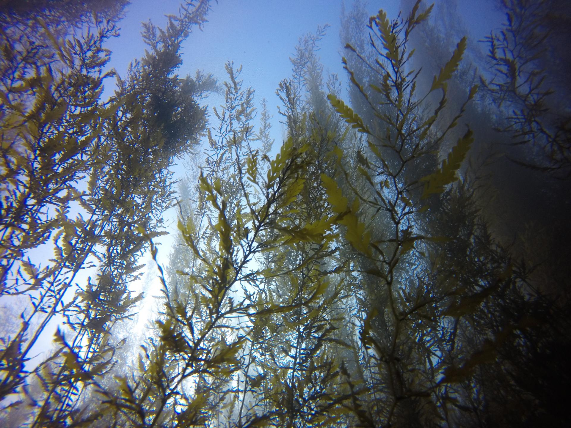 f6328e81ab729.jpg