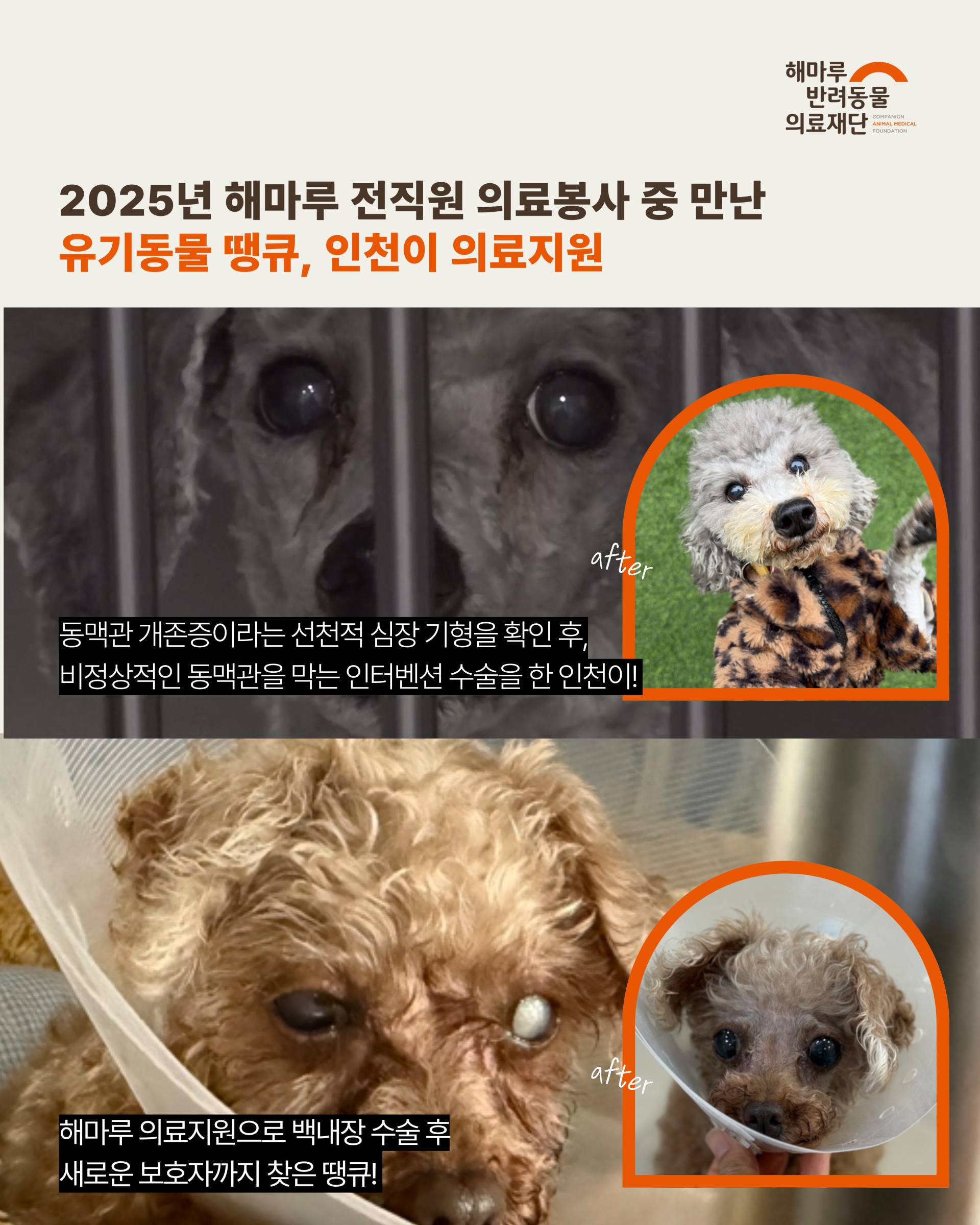 1c74ab6397b42.png