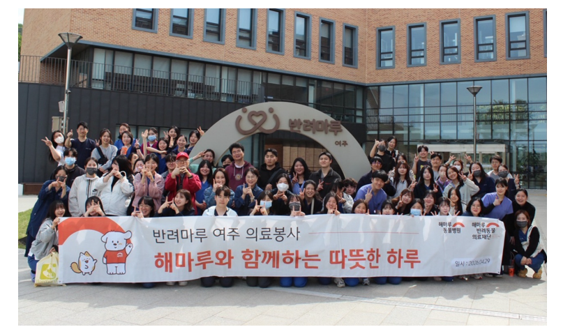 ab1eadff2748b.png