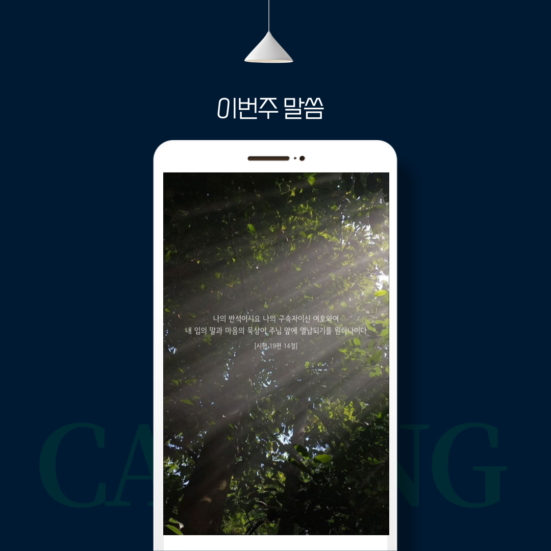 712fd5461ab2a.png