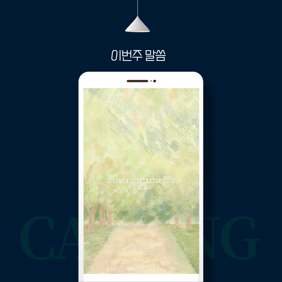 7cb9508ed412c.png